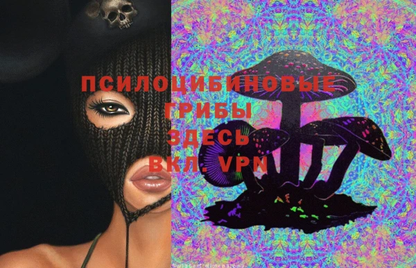 2c-b Белокуриха
