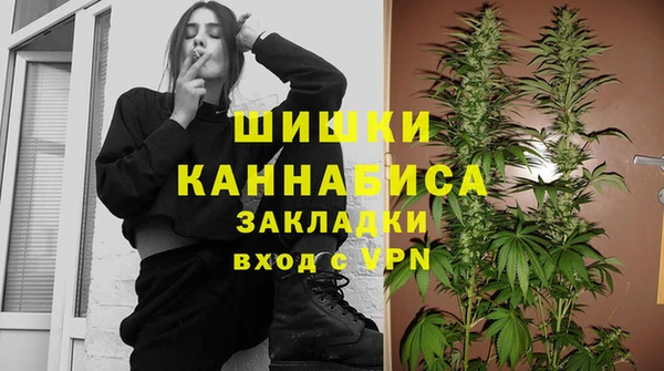 2c-b Белокуриха