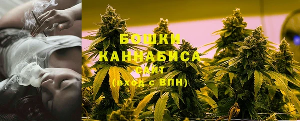 2c-b Белокуриха