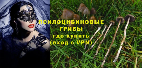 2c-b Белокуриха