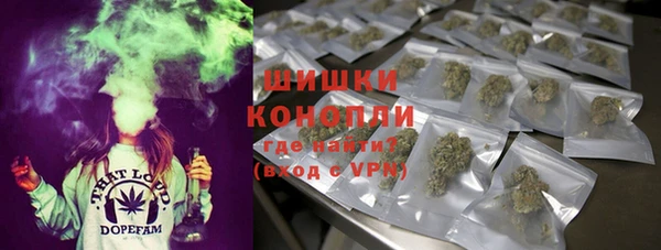 2c-b Белокуриха