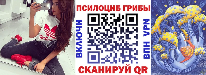 где купить наркоту  Мглин  Псилоцибиновые грибы ЛСД 